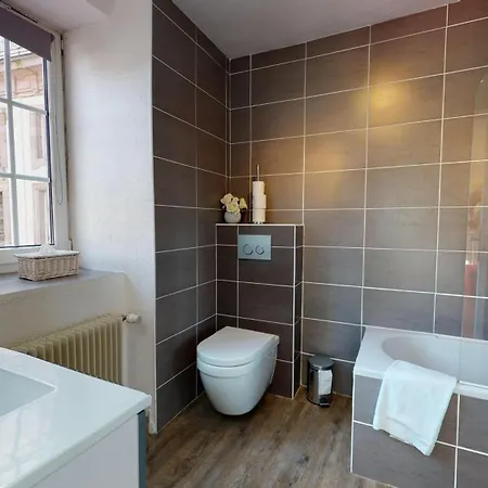 Apartment Le Clos Bartholdi Colmar